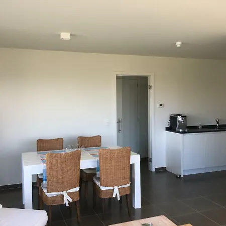 Karthuizer Zeezicht Ii Apartament